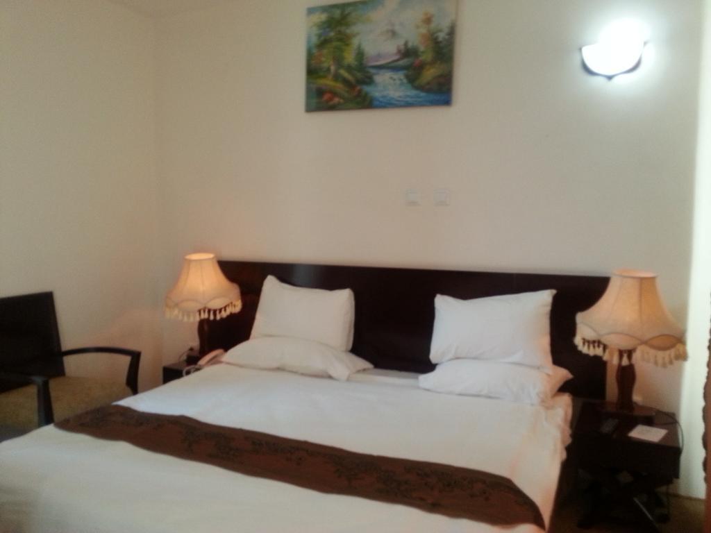 Ag Palace Hotel Addis Ababa Værelse billede